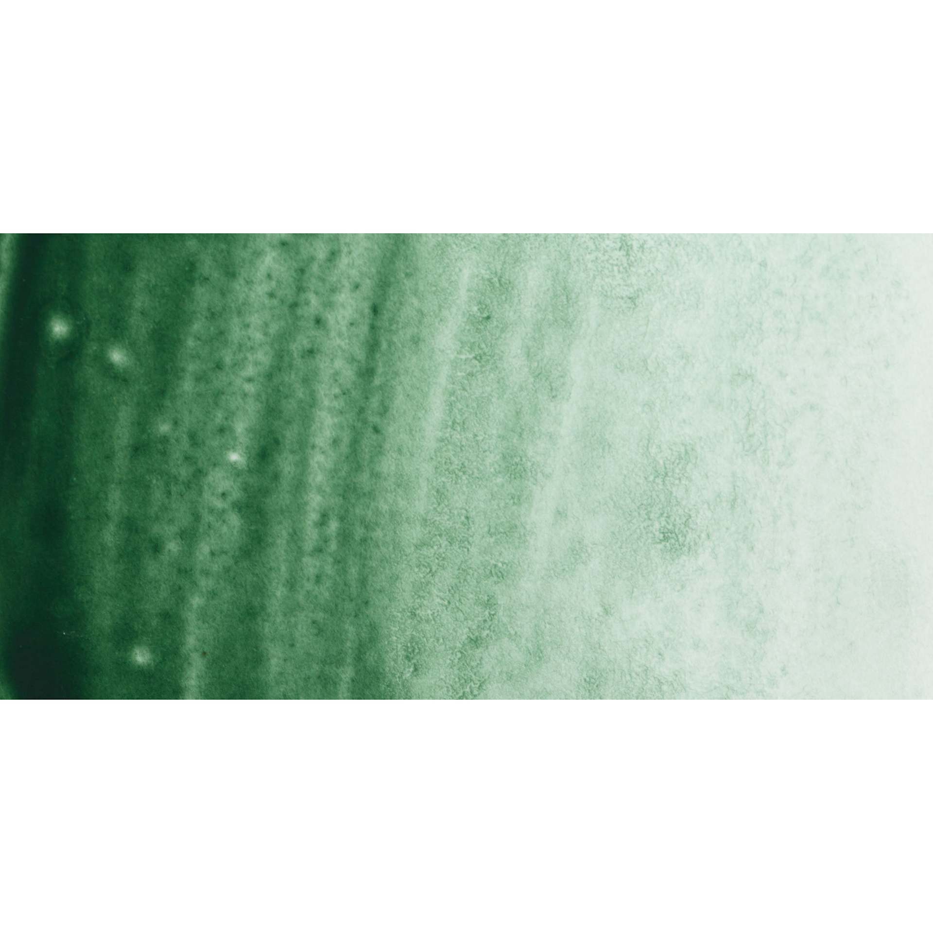 PWC Extra Fine Professional Watercolor - Terre Verte swatch