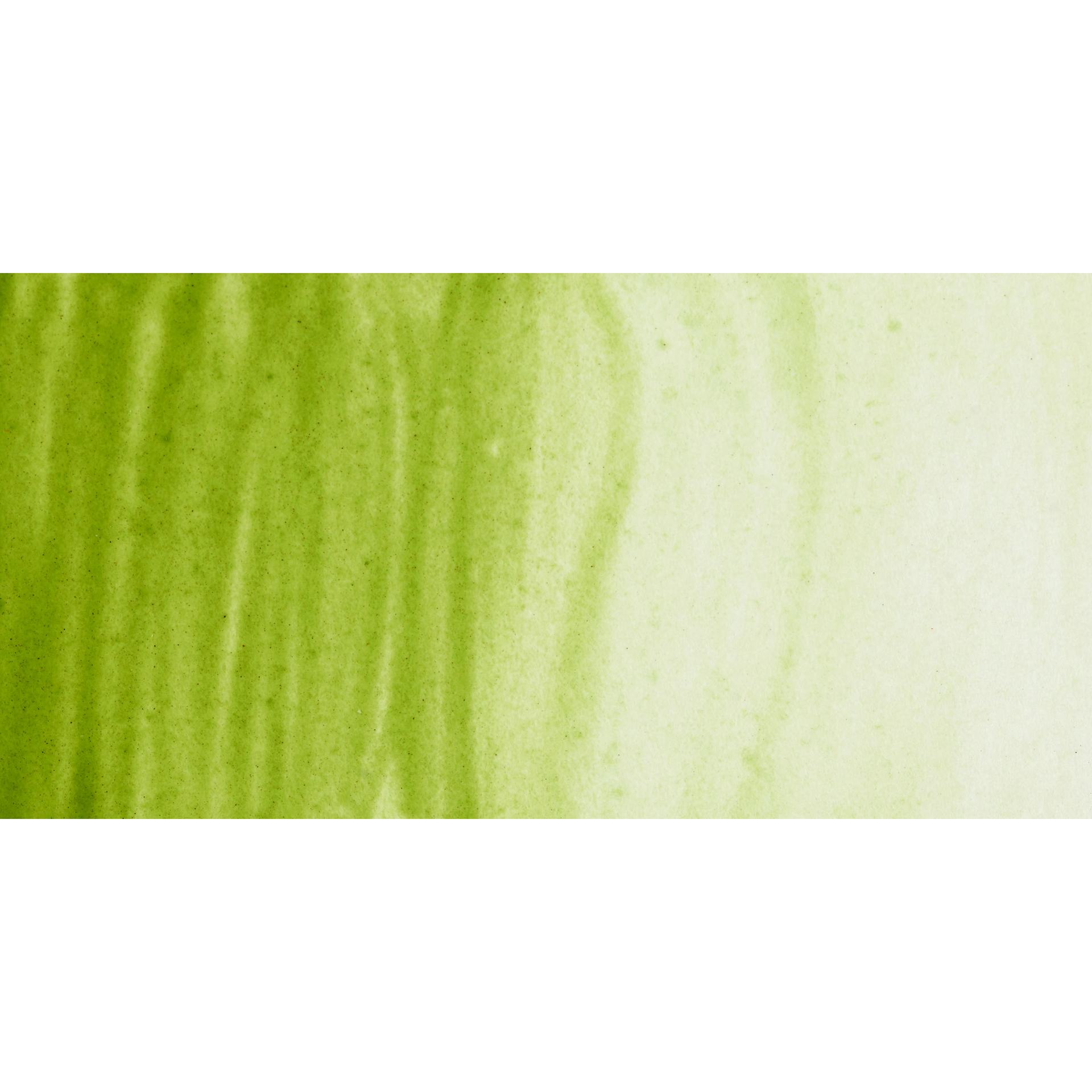 PWC Extra Fine Professional Watercolor - Terre Verte Yellow Shade swatch