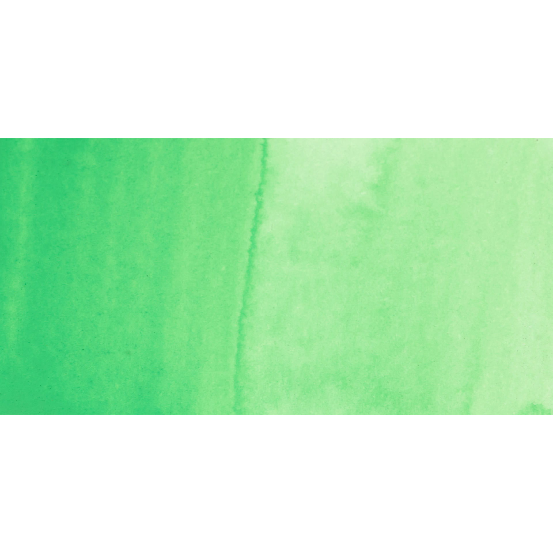 PWC Extra Fine Professional Watercolor - Green Pale swatch