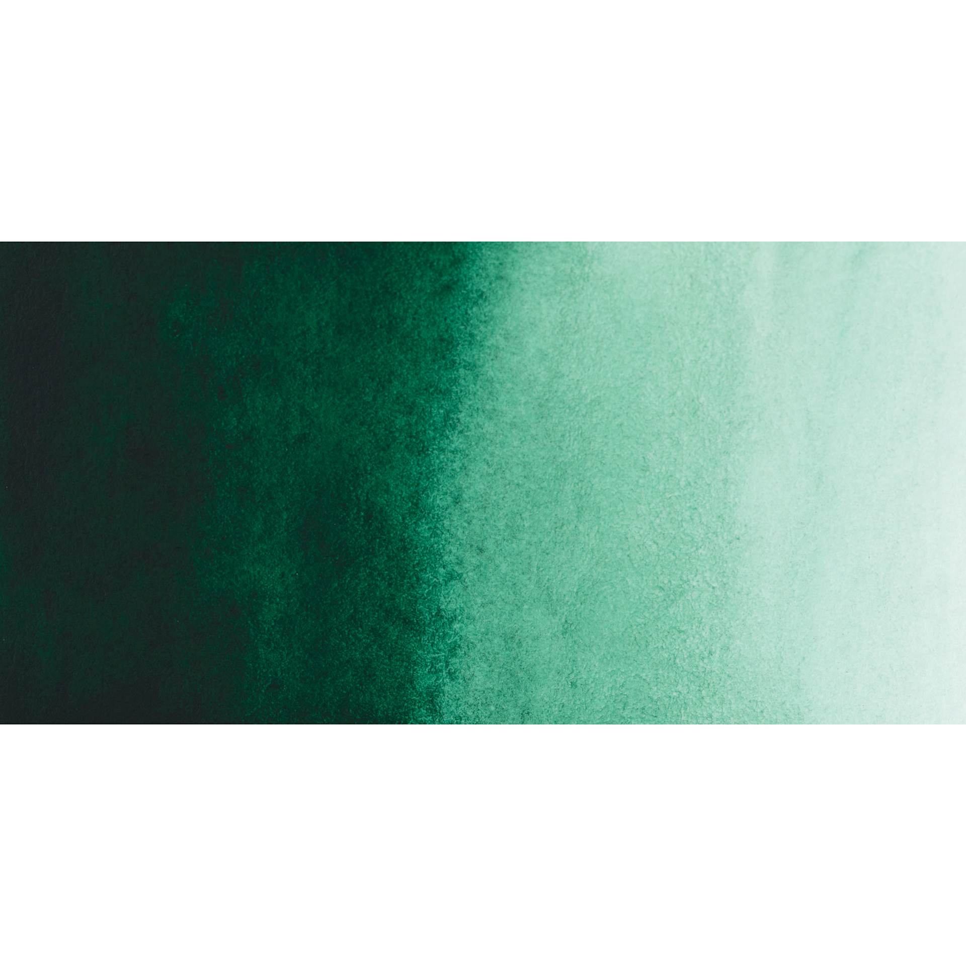 PWC Extra Fine Professional Watercolor - Phthalo Green Dark swatch