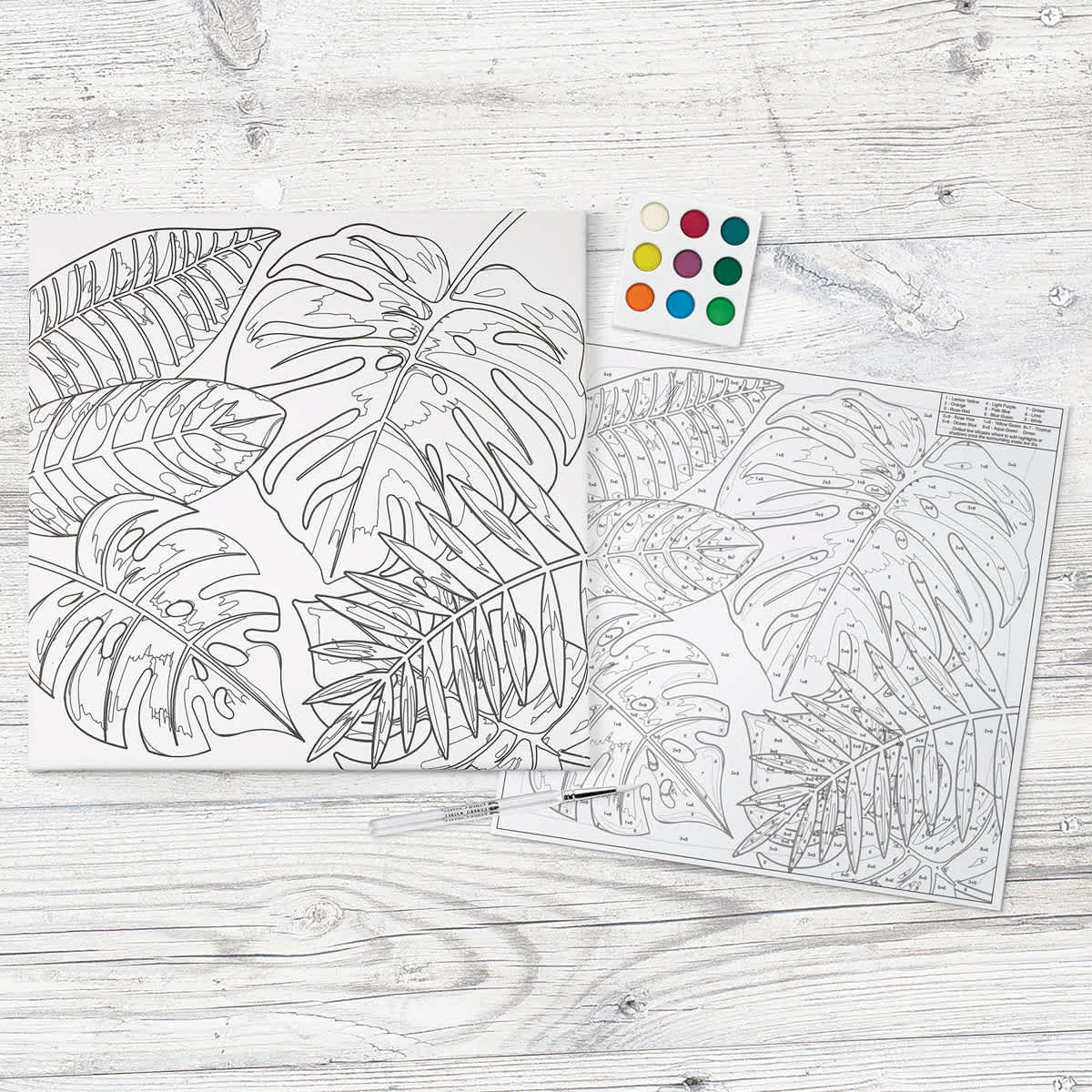 Faber-Castell Creative Studio Watercolor Paint by Numbers Set - Tropical (Paint pages shown with watercolor paints)