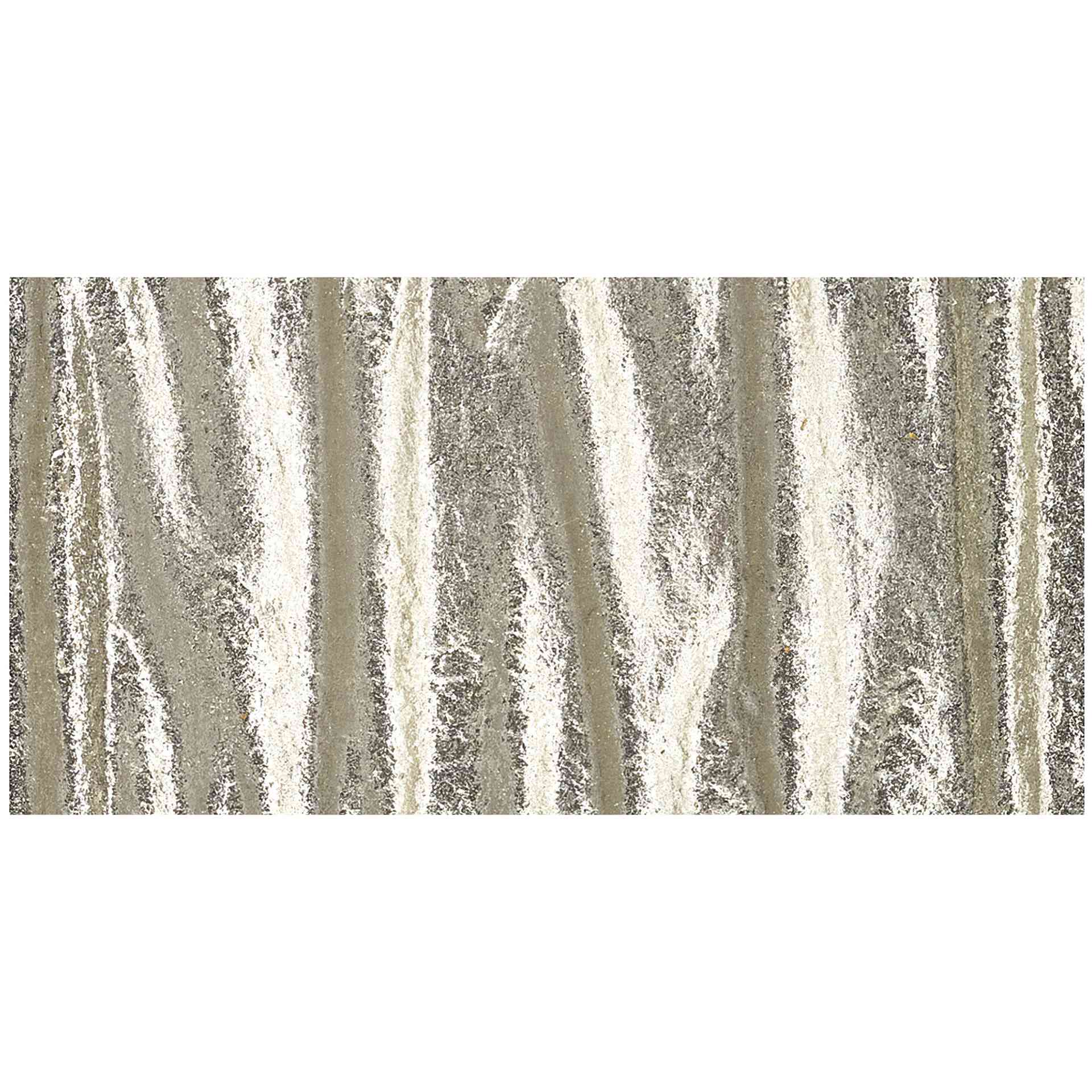 Finetec Premium Watercolor Pan - Real Silver (Metallic) pan