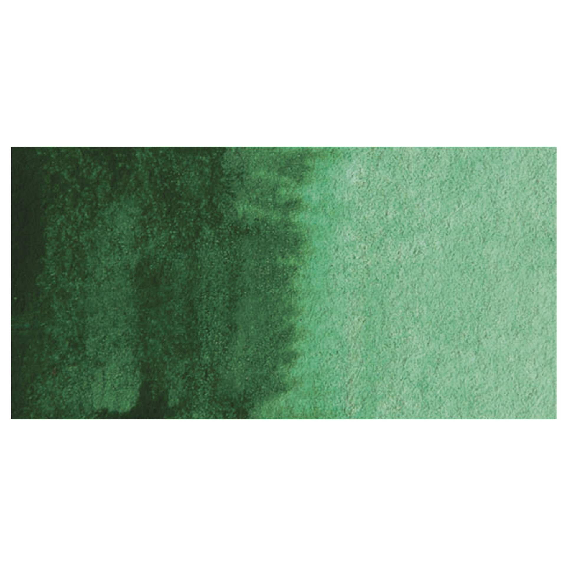 Schmincke Horadam Aquarell Watercolor - Permanent Green Olive, Swatch Schmincke Horadam Aquarell Watercolor - Permanent Green Olive, Swatch