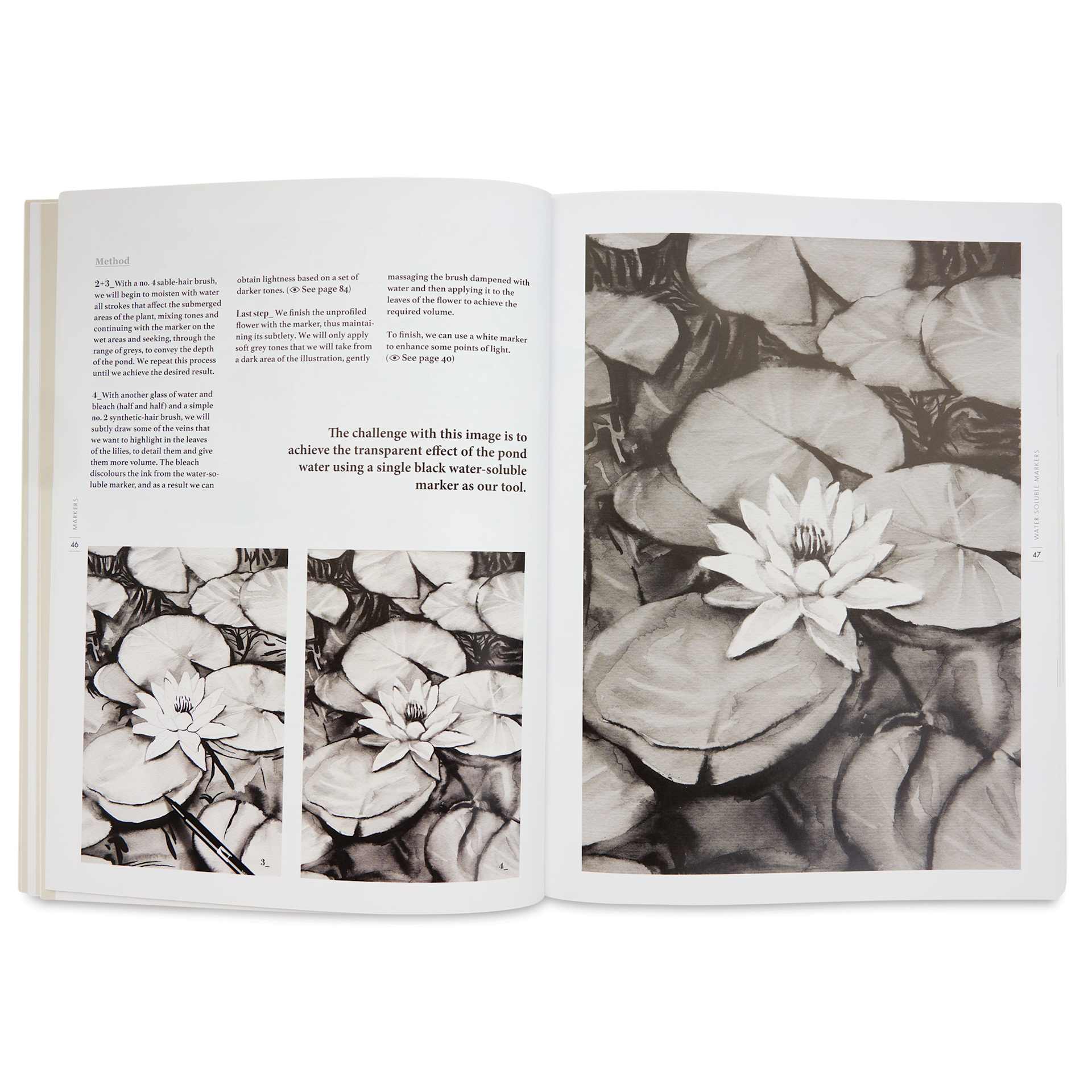 Exploring Black and White, lotus