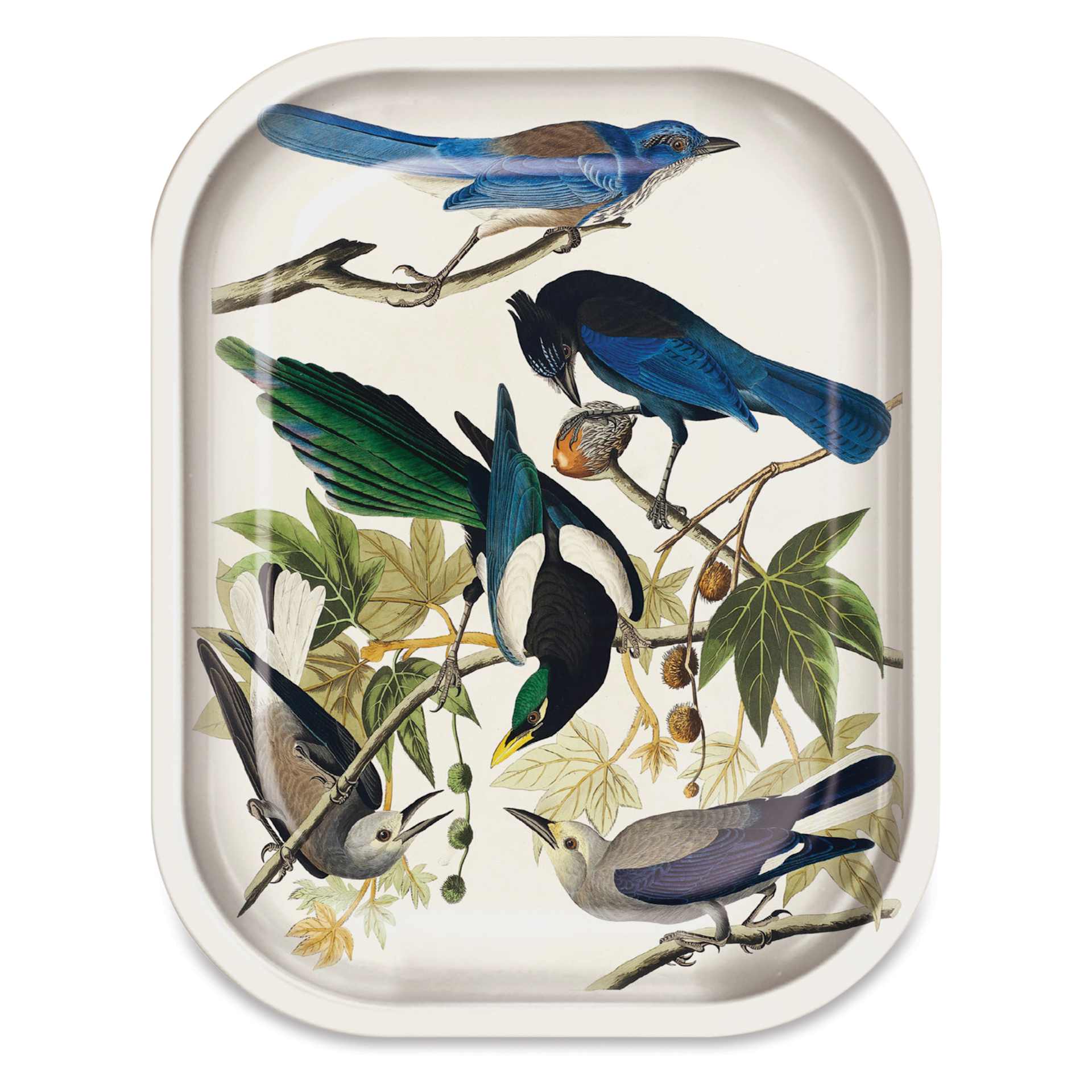 Curious Prints Vintage Metal Tray - 5" x 7", Audubon Magpie Jays, front