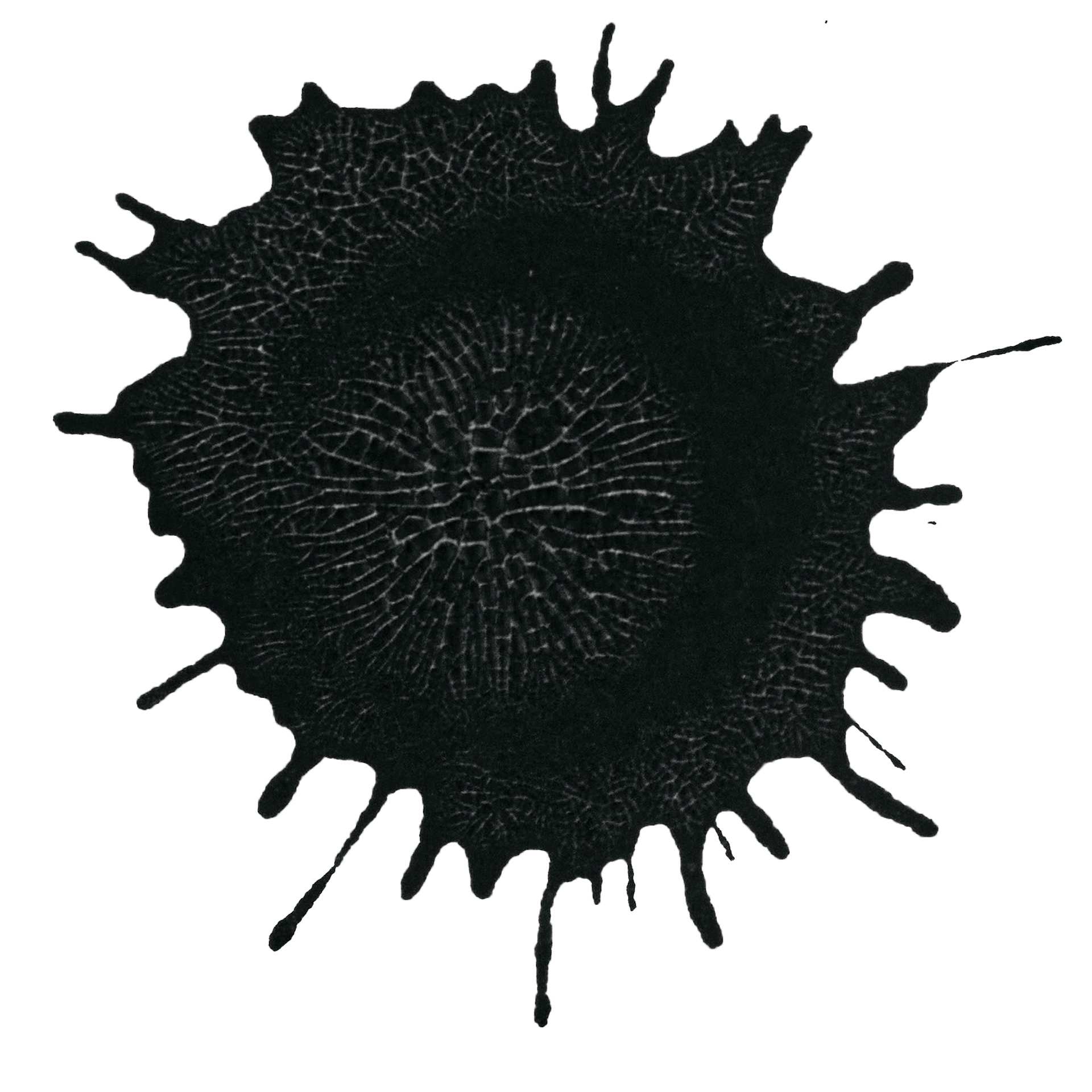 Posca Mop'r Paint Marker - Black, swatch