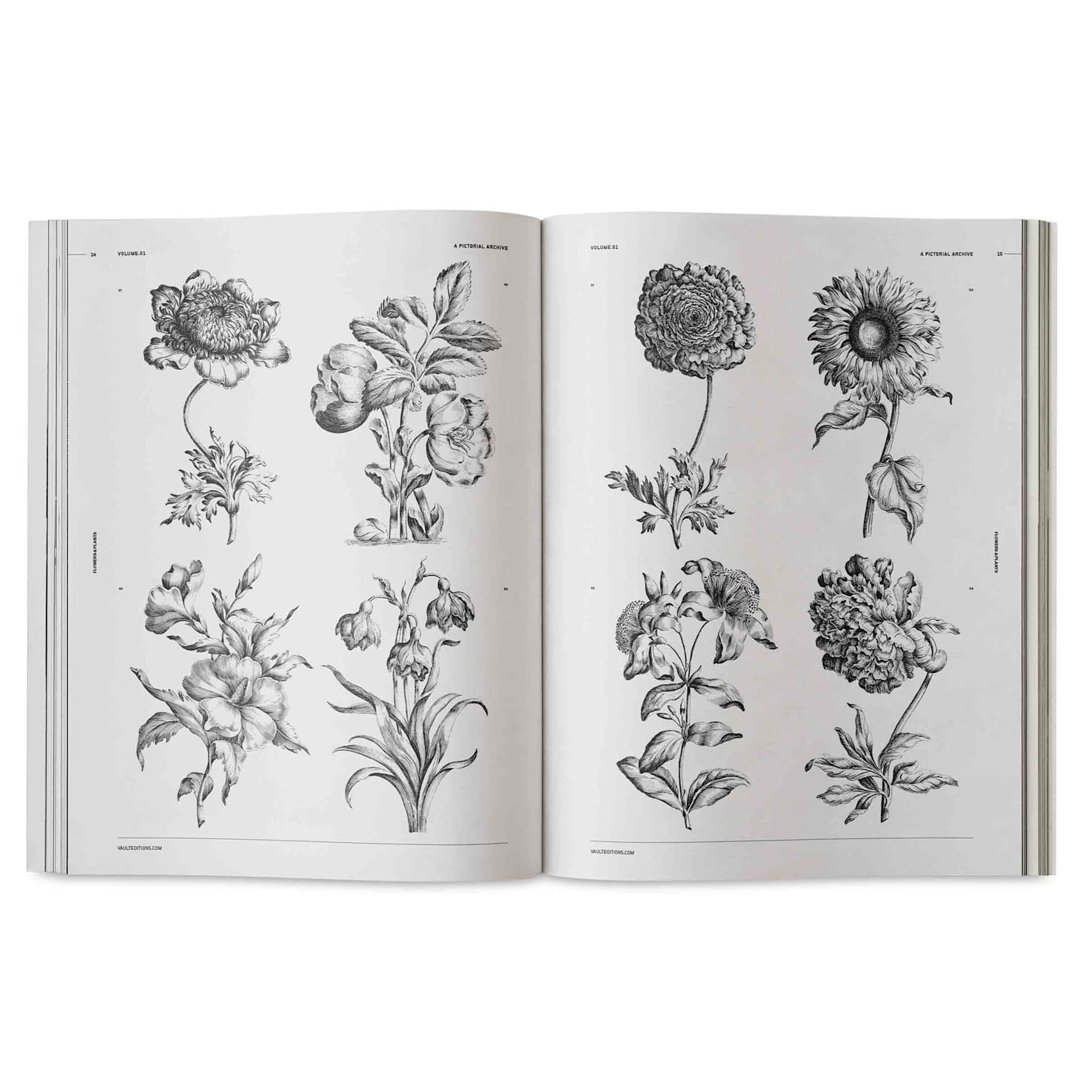 Vault Editions Flowers and Plants – An Image Archive for Artists and Designers, sunflower and other flowers