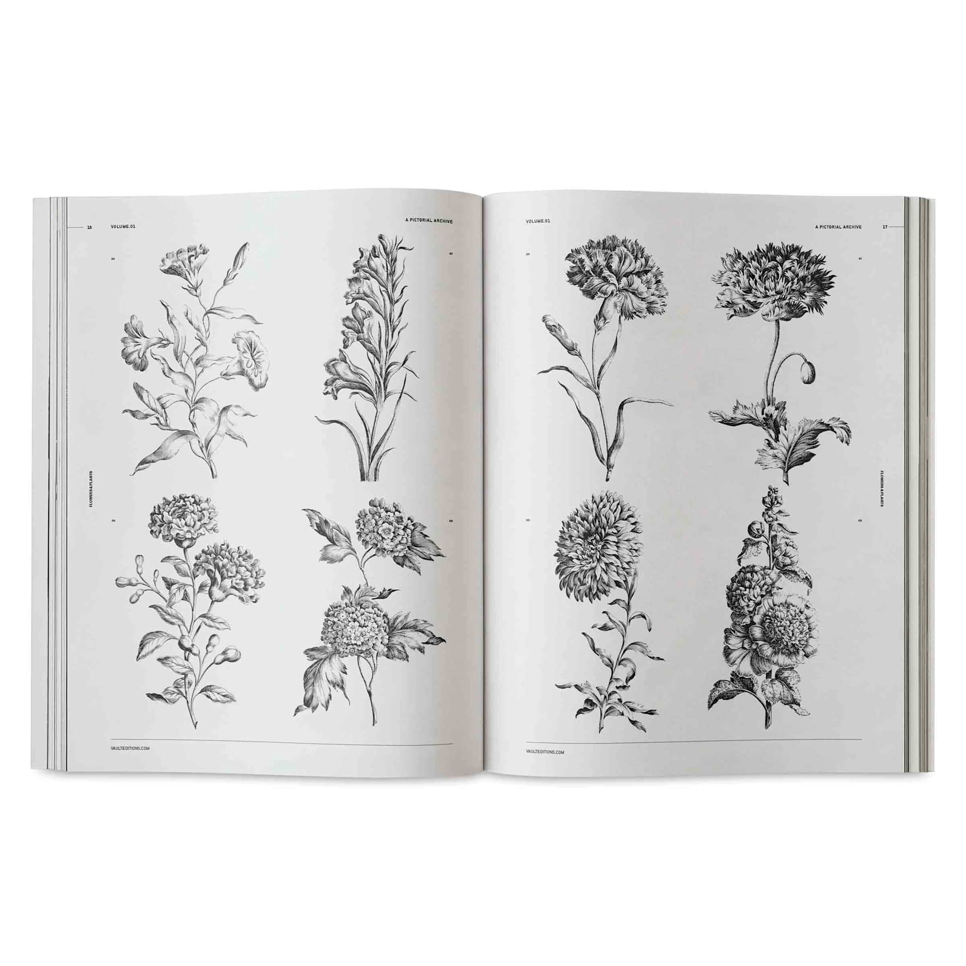 Vault Editions Flowers and Plants – An Image Archive for Artists and Designers, poppy and other flowers