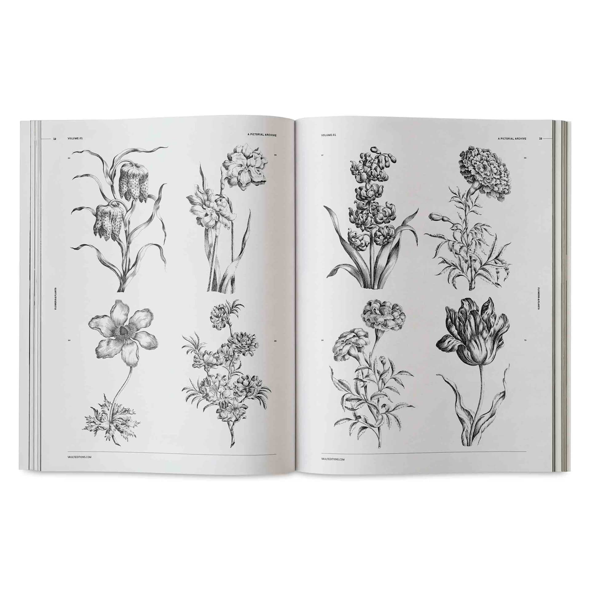 Vault Editions Flowers and Plants – An Image Archive for Artists and Designers, marigold and other flowers