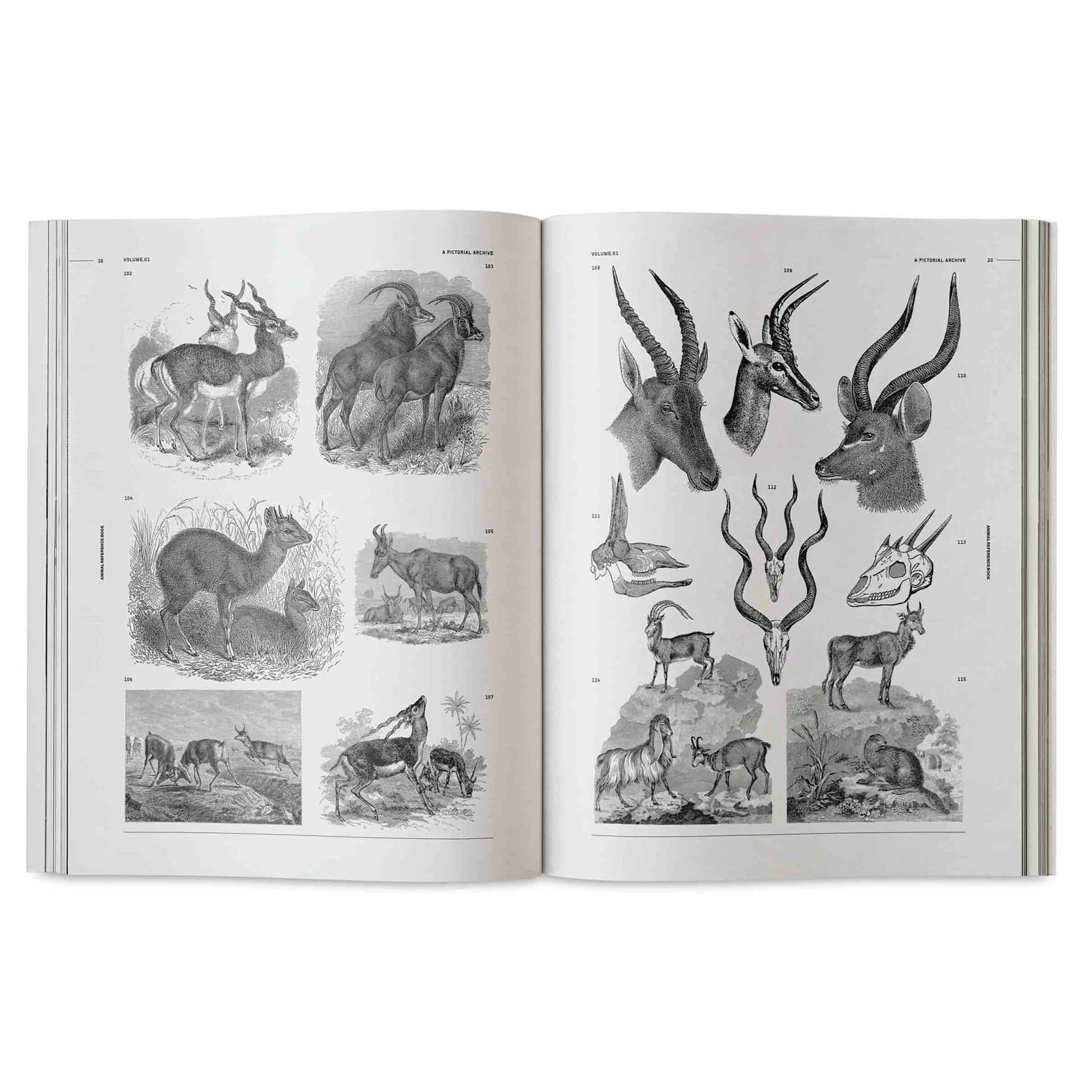 Vault Editions Animals: An Image Archive for Artists and Designers, gazelles and other animals