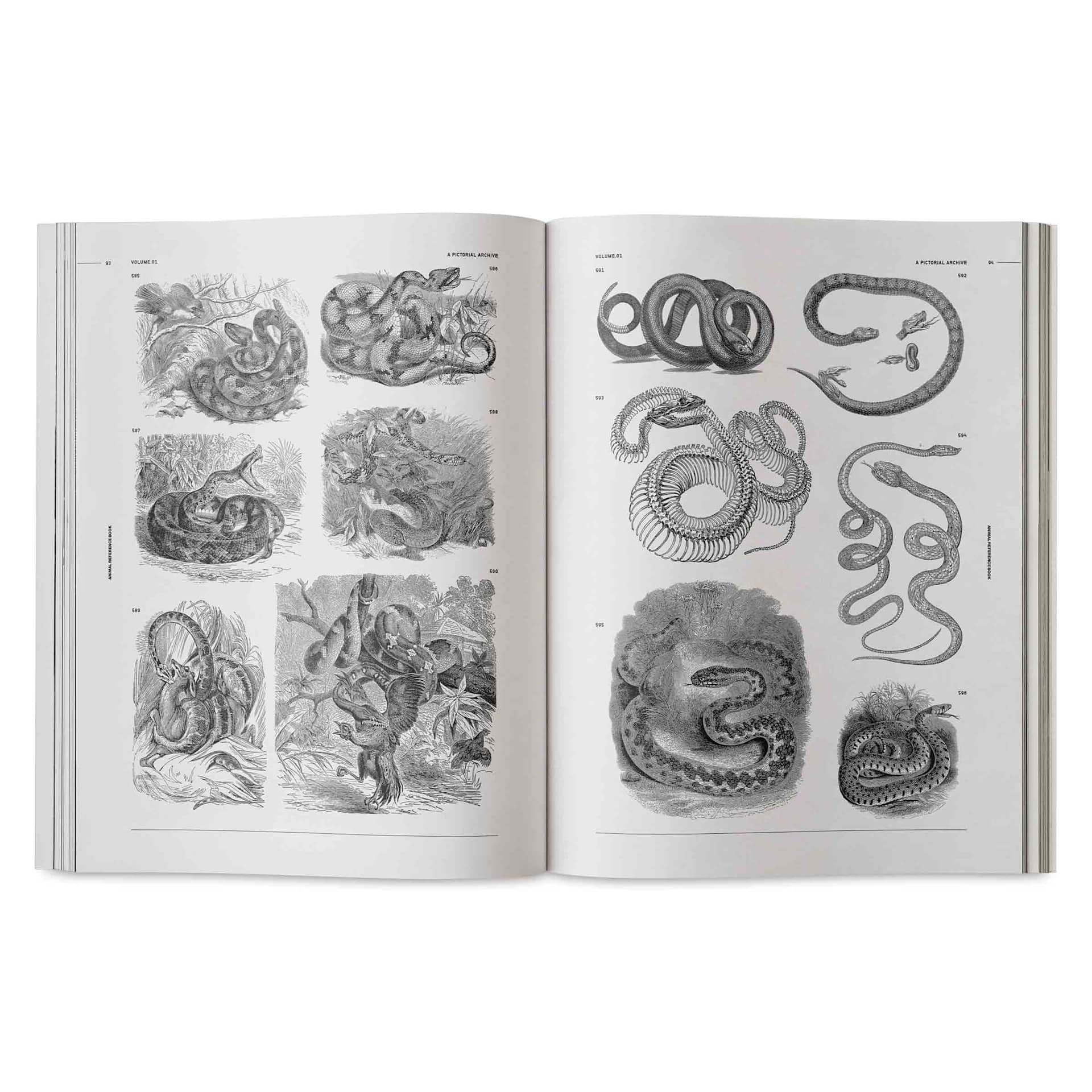Vault Editions Animals: An Image Archive for Artists and Designers, snakes