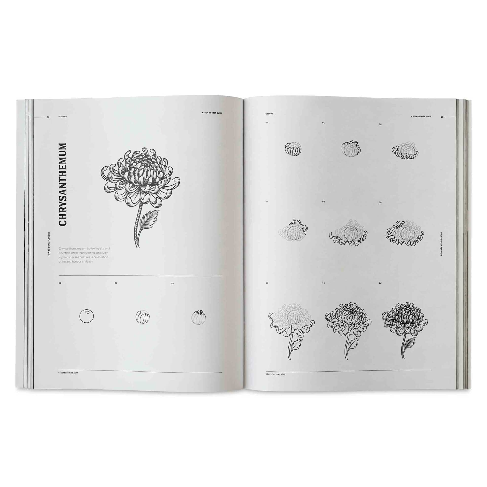 Vault Editions How to Draw Flowers, Chrysanthemum