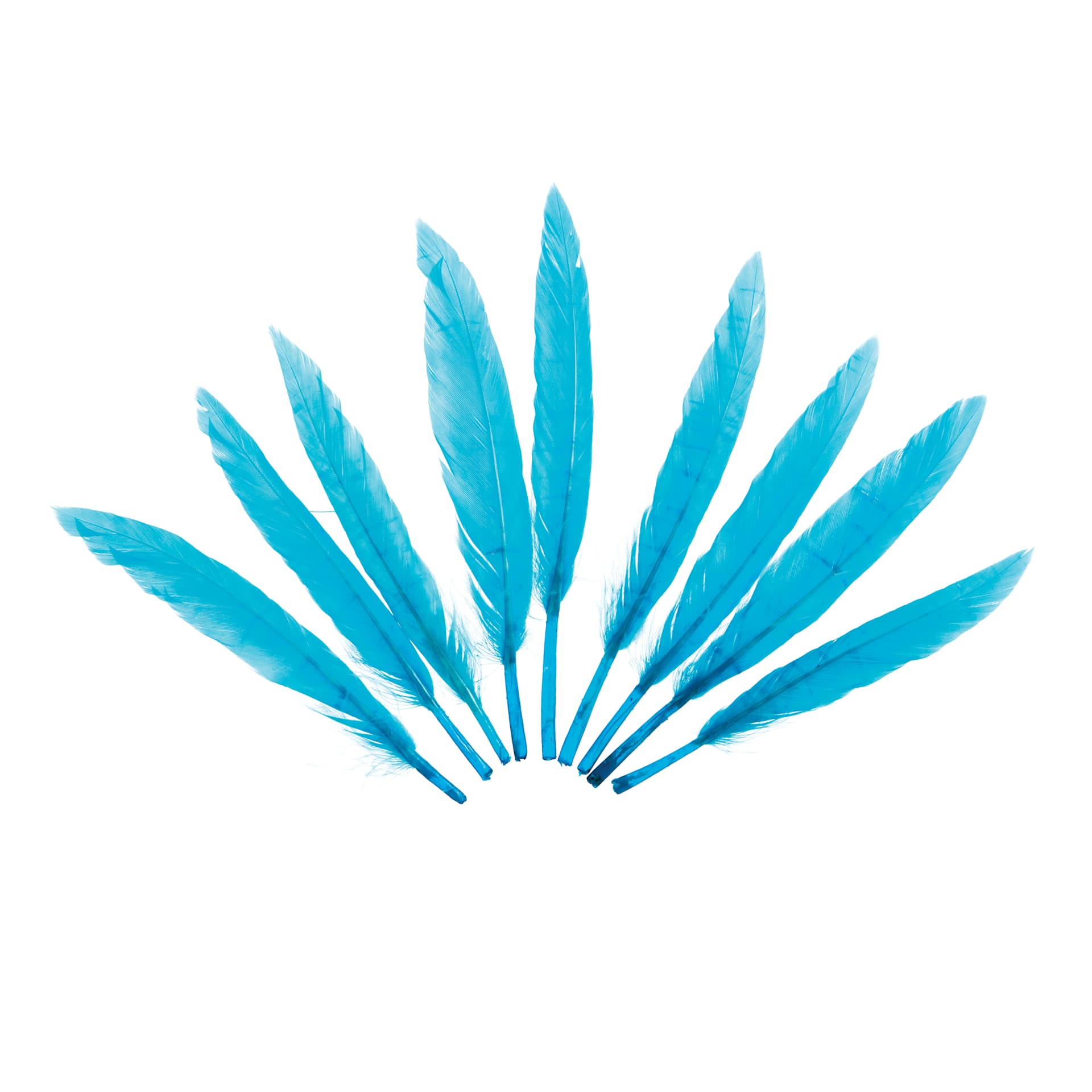 John Bead Duck Quill Feathers - Turquoise