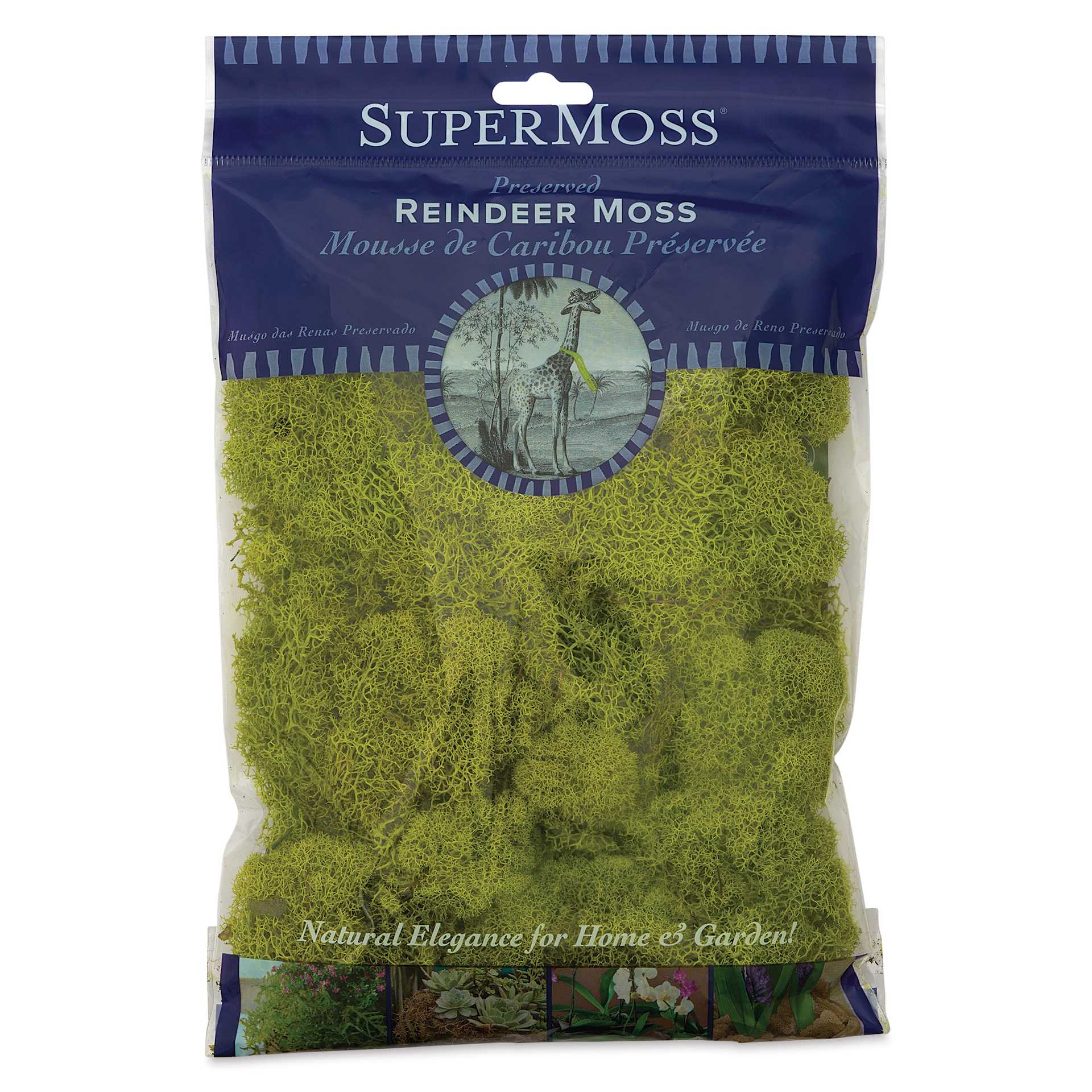 SuperMoss Preserved Reindeer Moss - Chartreuse, front of packaging