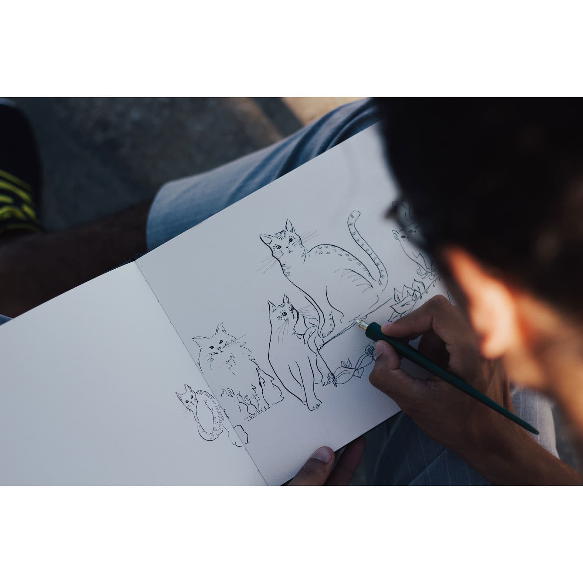 Etchr The Perfect Sketchbook (person drawing cats in sketchbook) Etchr The Perfect Sketchbook (person drawing cats in sketchbook)