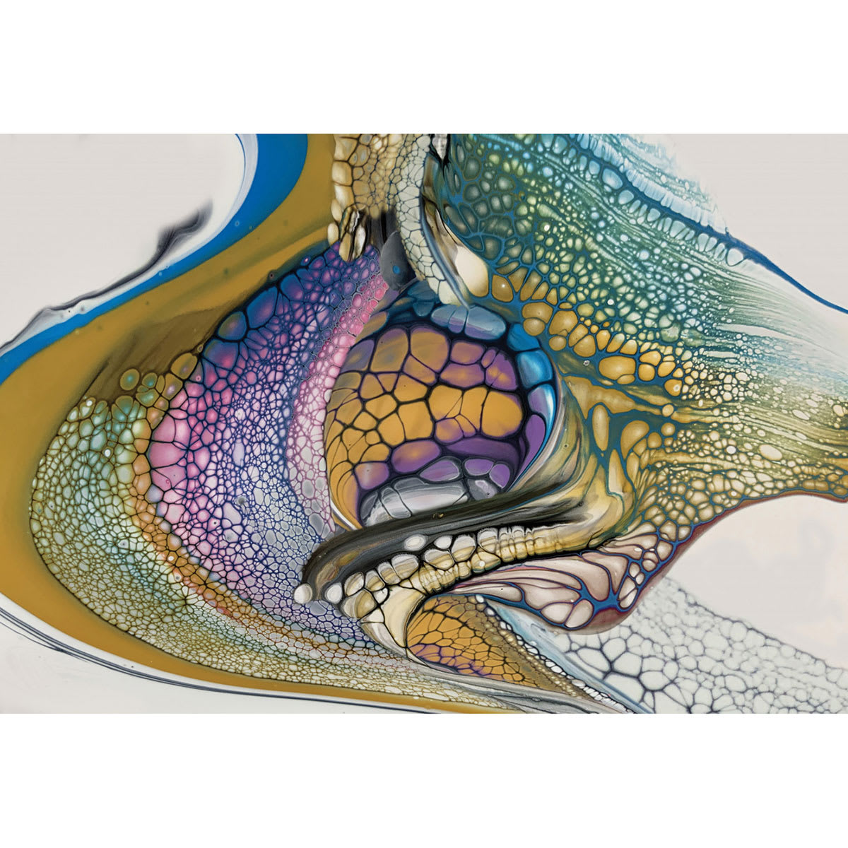 Pebeo Ultimate Pouring Medium (Cells in paint pour) Pebeo Ultimate Pouring Medium (Cells in paint pour)
