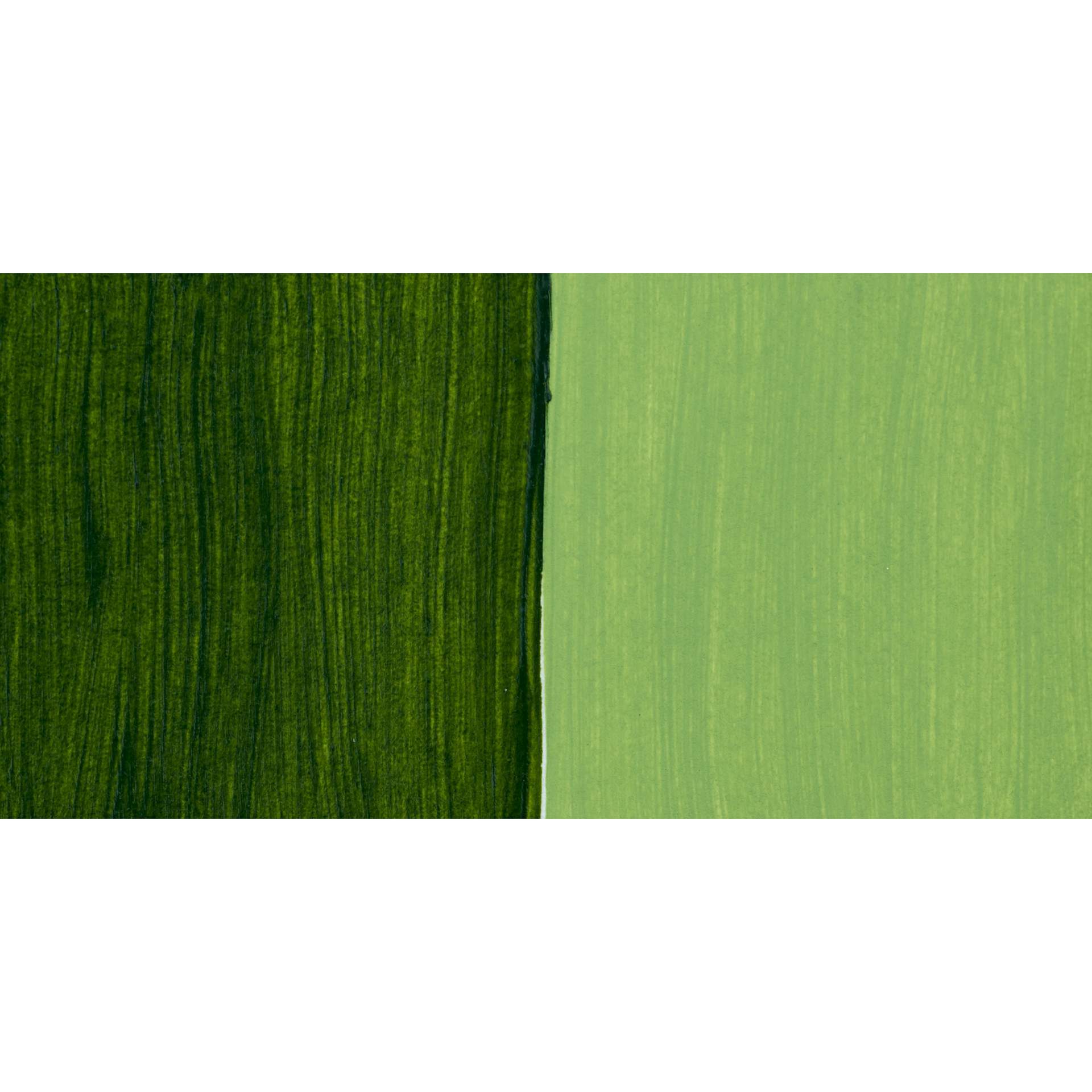 Ara Artists’ Acrylic Paint - Sap Green Lake Extra swatch