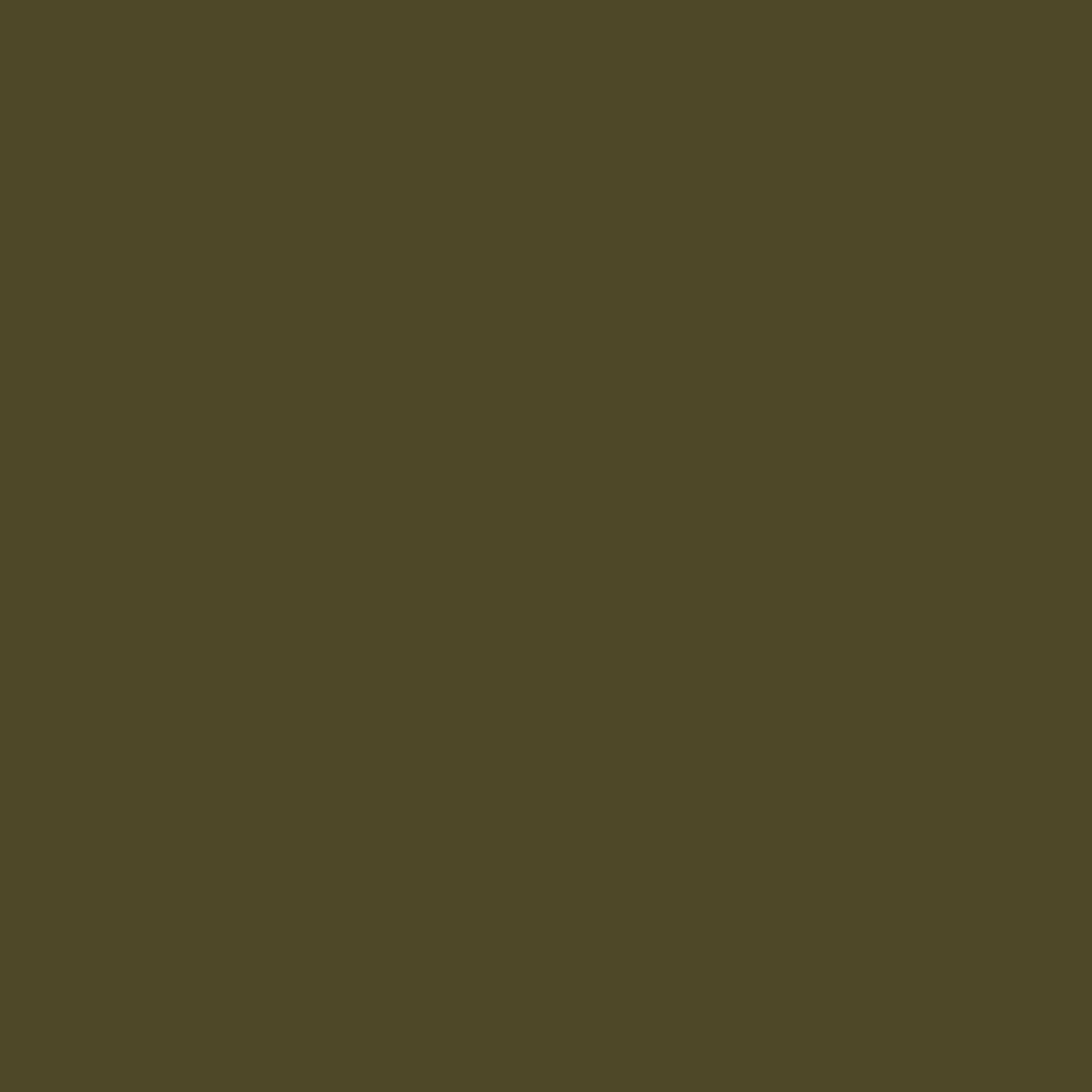 Vallejo Weathering FX Acrylic - Streaking Grime Environment swatch