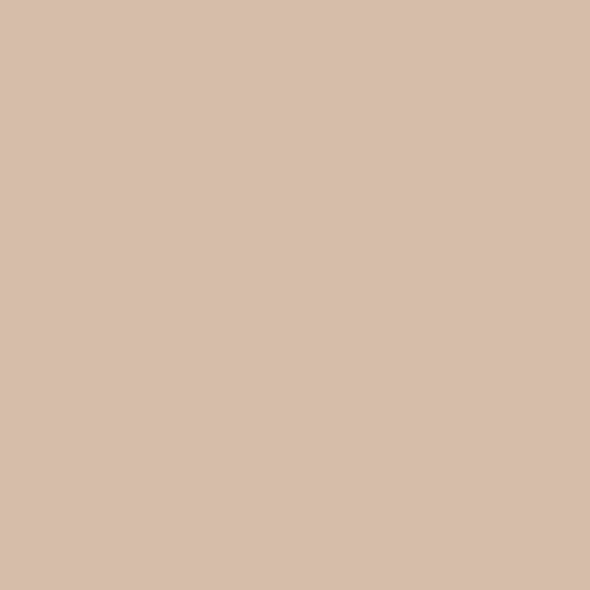 Vallejo Weathering FX Acrylic - Light Brown Thick Mud swatch