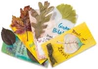 book of leaves