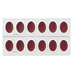 Prang Oval Watercolor Refills arrive packaged in two rows, ready to be separated.