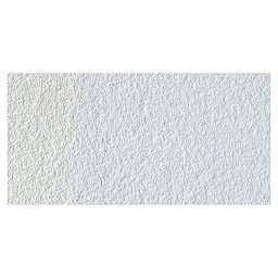 Winsor & Newton Professional Watercolor - Chinese White swatch