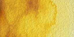 Winsor & Newton Professional Watercolor - Transparent Yellow swatch