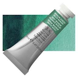 Winsor & Newton Professional Watercolor - Winsor Green (Blue Shade), 14 ml Tube and swatch