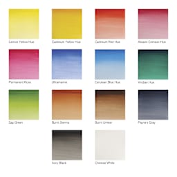 Winsor & Newton Cotman Watercolors - Field Pocket Set of 12, Assorted Colors, Half Pans, swatches