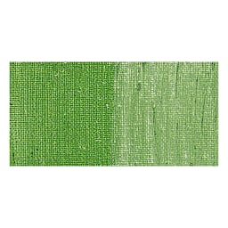 Shiva Oilstik Oil Paint - Iridescent Leaf Green swatch