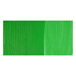 Shiva Signature Artist Oil Paint - Cadmium Green swatch