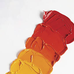 Winsor & Newton Artists' Oil Colors - Set of 10, Introductory Set, 21 ml tubes, oil paint on palette