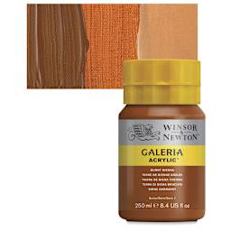 Winsor & Newton Galeria Flow Acrylic - Burnt Sienna, 250 ml tube and swatch