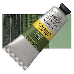 Winsor & Newton Galeria Flow Acrylic - Olive Green, 60 ml tube and swatch