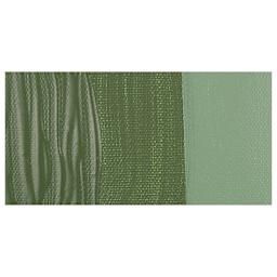 Amsterdam Standard Series Acrylic Paint - Olive Green Deep swatch