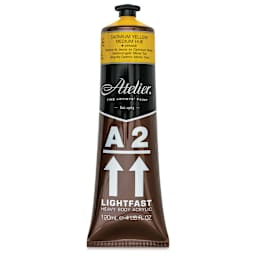 Chroma A2 Student Acrylics - Cadmium Yellow Medium Hue, 120 ml tube, front