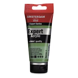 Amsterdam Expert Series Acrylics - Chromium Oxide Green, 75 ml tube