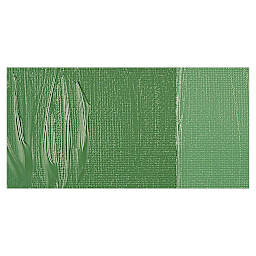 Amsterdam Expert Series Acrylic Paint - Chromium Oxide Green swatch