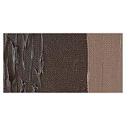 Winsor & Newton Professional Acrylic Paint - Burnt Umber swatch