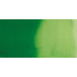 Ecoline Liquid Watercolor with Dropper - Forest Green swatch