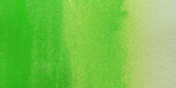 M. Graham Artists' Watercolor - Permanent Green Pale swatch