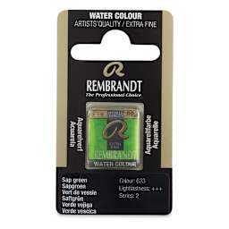 Rembrandt Watercolor Half Pan - Sap Green