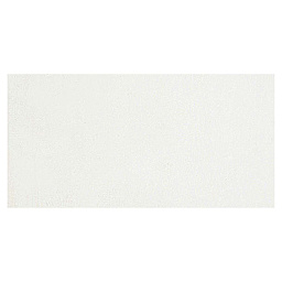 Jacquard Neopaque Acrylic Paint - White swatch