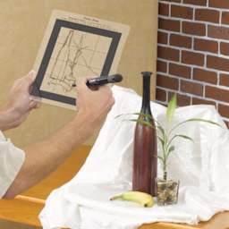 Compose It Grids - Artist using grid to sketch still life of a bottle, a plant, and a banana