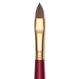 Blick Master Synthetic Kolinsky Brush - Short Handle, Filbert, Size 12, close-up