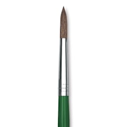 Blick Economy Pony Hair Brush - Round, Short Handle, Size 8 close-up