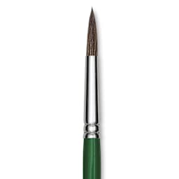 Blick Economy Pony Hair Brush - Round, Short Handle, Size 10 close-up