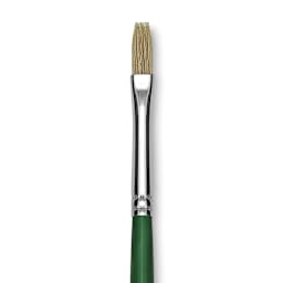 Blick Economy White Bristle Brush - Flat, Size 2 close up