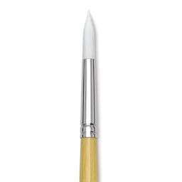 Blick Academic White Synthetic Brush - Round, Size 12, close-up