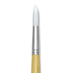 Blick Academic White Synthetic Brush - Round, Size 16, close-up